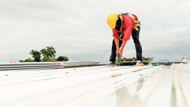 Best Skylight Installation and Repair  in Holcom, KS