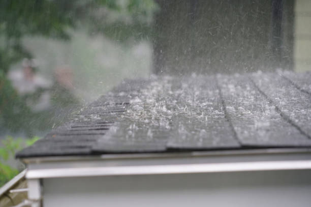 Best Roof Inspection  in Holcom, KS